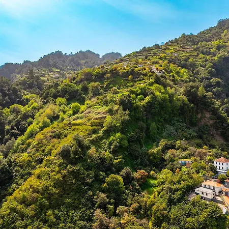 Semesterbostad Casa Da Quebrada Santana (Madeira)